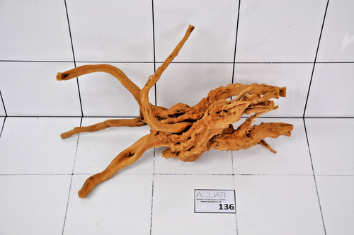 Premium natural aquarium - premium,
