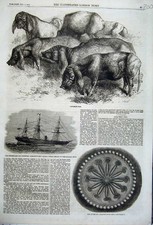 Old Antique Print 1862