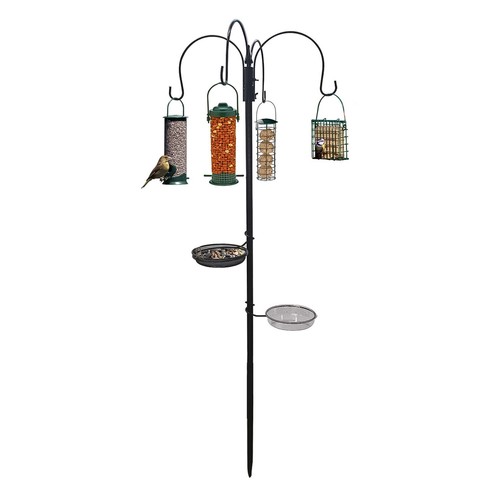 Wild bird feeding station - bird,