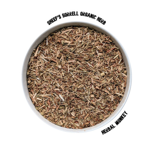 Sheep sorrell herb - herb, |