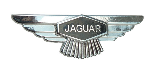 Jaguar wings enamel - wings, lapel