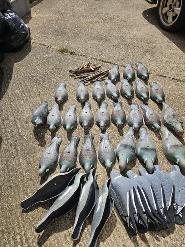 Vintage decoys pick only - decoys,