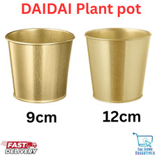 New IKEA  IKEA DAIDAI Plant