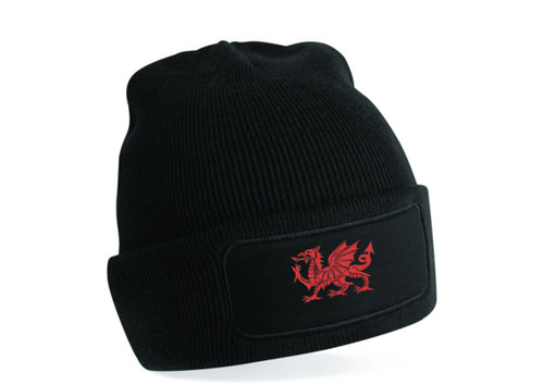 Welsh dragon beanie logo - dragon,