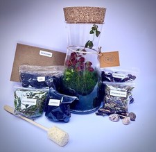 DIY  Terrarium Project|Full
