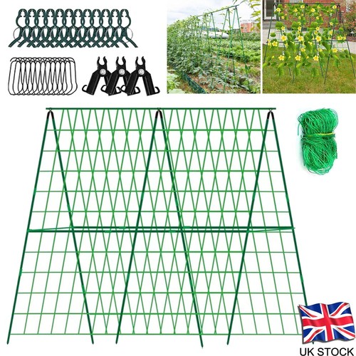 Cucumber trellis for garden - cucumber,