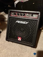 🎸 Peavey Microbass Amp -