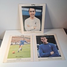 Vintage 1960s Typhoo Tea