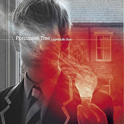 Porcupine tree lightbulb - porcupine,