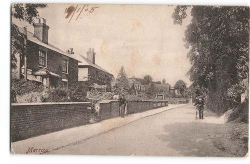 Merrow street view - houses, man