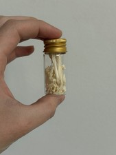 Woodcock Bone Vial Curio Shelf