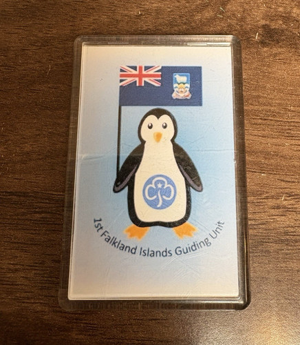 Girlguiding 1st falkland - uk,