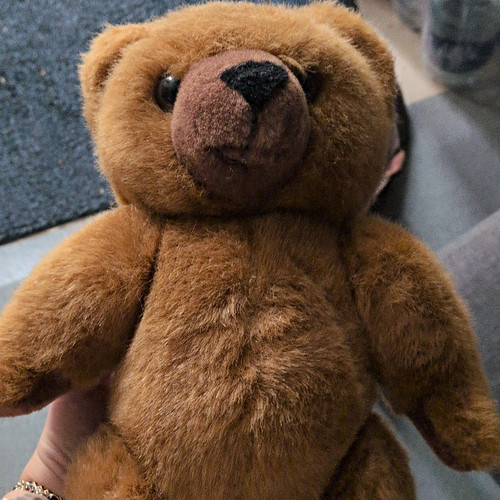 Anna club plush brown teddy - anna,