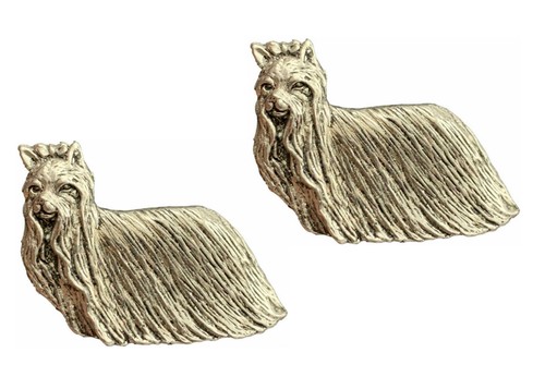 Yorkshire terrier dog - terrier,