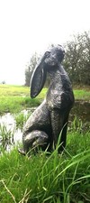 Moon Gazing Hare Garden/Home