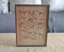 Vintage Style Animal Skeleton