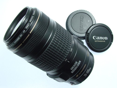 Canon 300mm 6 ef - canon, f/4-5.6