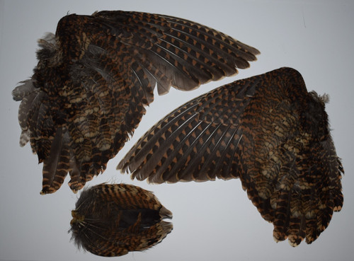 Set woodcock wings - of,