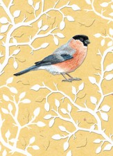 RSPB - In The Wild Card -