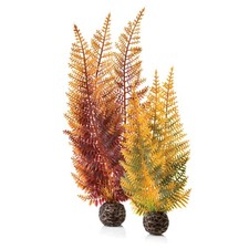 BiOrb Aquarium Autumn Ferns