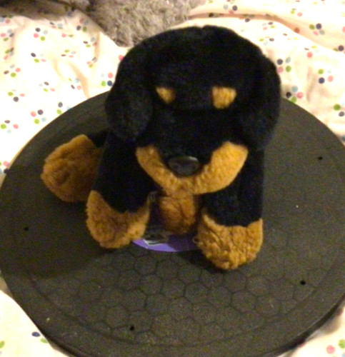 Animal alley rare toys are - animal, us