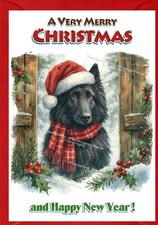 Belgian Shepherd Dog