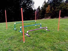 Dog Agility Colourful 3 Piece