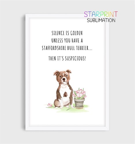 Staffordshire bull terrier - staffordshire,