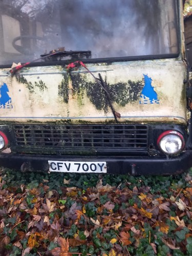 Bedford horse box - bedford,