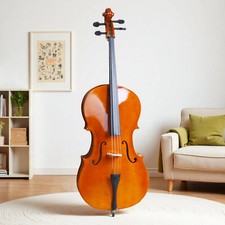 4/4 Full Size Beginner