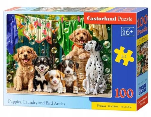 Castorland 100 piece jigsaw - 100,