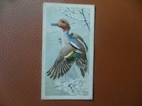 Brooke bond original 1957 - brooke,