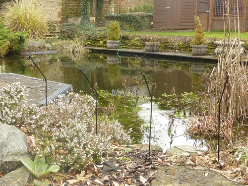 Pond pest protection stakes - pest,