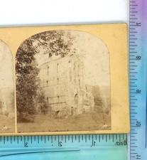 West View Rievaulx Abbey North