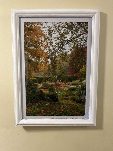 Wicksteed autumn - mr, wicksteed’s