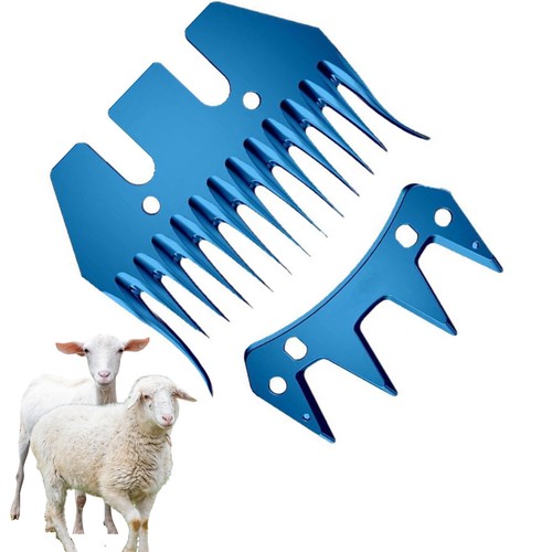 Tooth curly curved sheep - tooth,