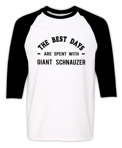 Giant schnauzer dog - giant,