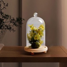 Clear Glass Dome Cloche Cover