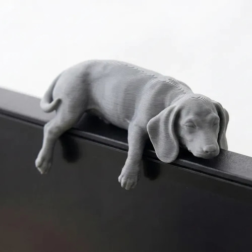 Cozy sleeping sausage dog - sleeping,