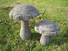 Woodland mushroom garden - mushroom,