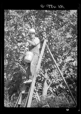 Photo:Yakima Washington 1936