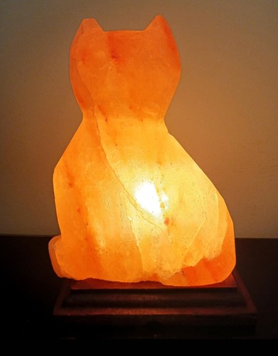 Himalayan salt lamp - himalayan,