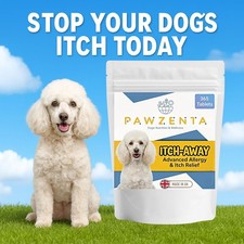 Dog allergy relief tablets - dog,