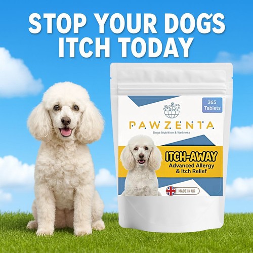 Dog allergy relief tablets - allergy,