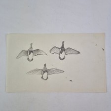 Sir Peter Markham Scott