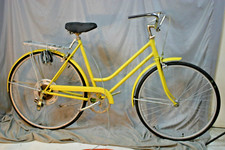1974 Schwinn Suburban Cruiser