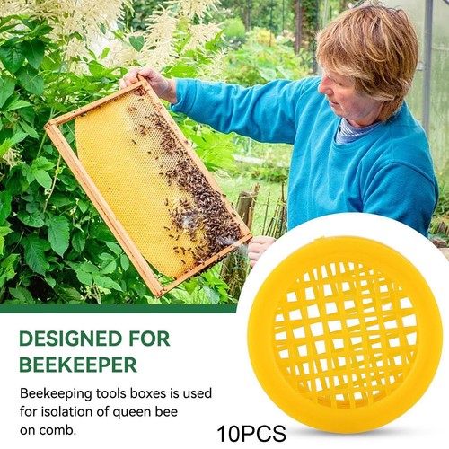 10x queen bee - cages, practical