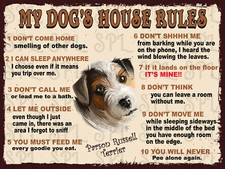 Parson Russell Terrier My