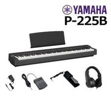 [New] YAMAHA P-225B(Successor