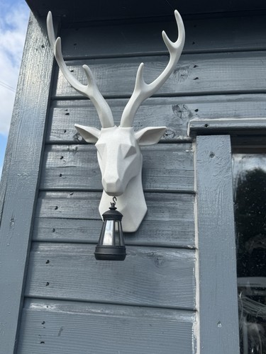 Deer head wall - 3d, mount